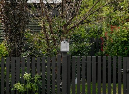 Lime Wood, Katoomba-47