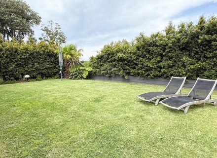 backyard garden established
