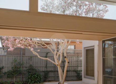 Liora, Caulfield South-03