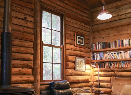 Log Cabin, Roberston_11