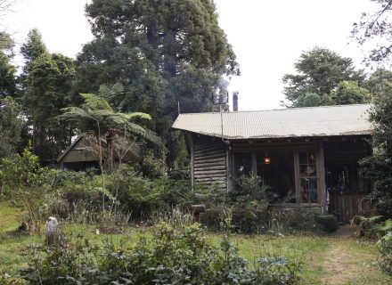 Log Cabin, Roberston_16