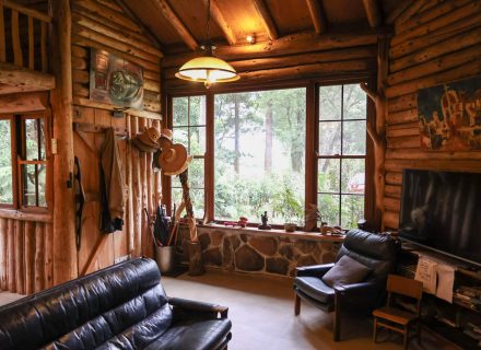 Log Cabin, Roberston_7