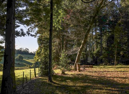 Log Cabin, Roberston_9