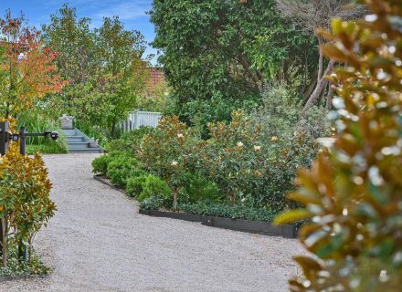 gardens established backyard