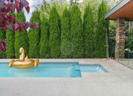 Lucent Cove, Berrowra20