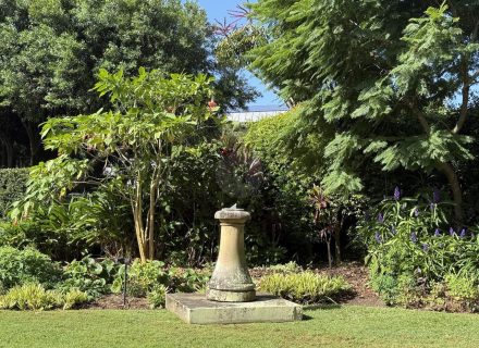 MACMILLAN HOLUSE DARLING POINT - GARDENS13