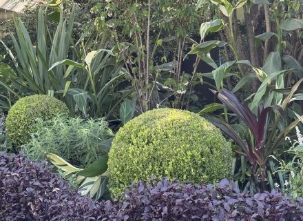 MACMILLAN HOLUSE DARLING POINT - GARDENS16