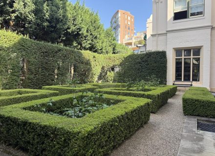 MACMILLAN HOLUSE DARLING POINT - GARDENS6