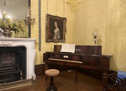 MACMILLAN HOLUSE DARLING POINT - YELLOW LIVING ROOM4
