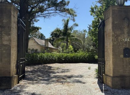 MON AMOUR - DRIVEWAY2