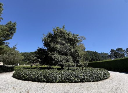 MON AMOUR - DRIVEWAY5