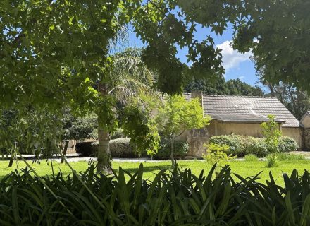 MON AMOUR - FACADE35