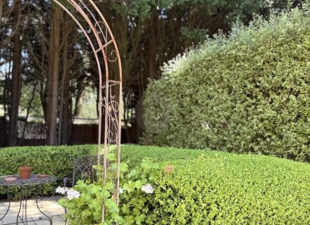 MON AMOUR - GARDENS10