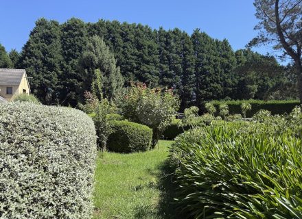 MON AMOUR - GARDENS17