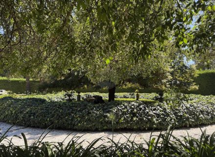 MON AMOUR - GARDENS20