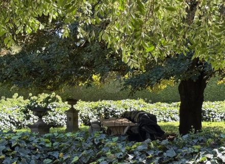 MON AMOUR - GARDENS21