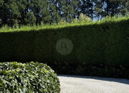 MON AMOUR - GARDENS30