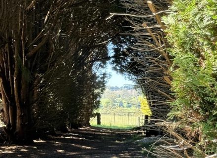 MON AMOUR - GARDENS31