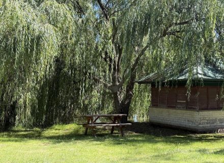 MON AMOUR - GARDENS42