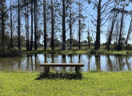 MON AMOUR - GARDENS45