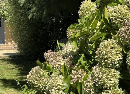 MON AMOUR - GARDENS51