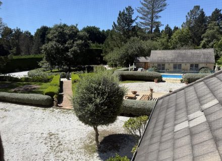 MON AMOUR - GARDENS56