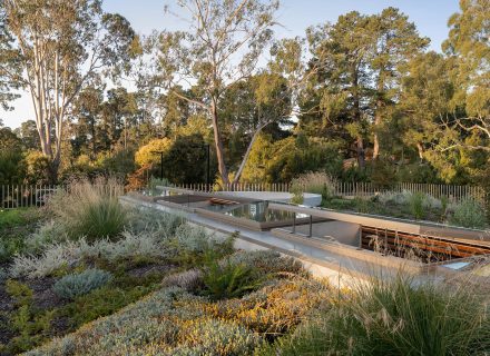 Maestro, Park Orchards-26