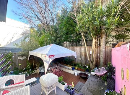 backyard garden established