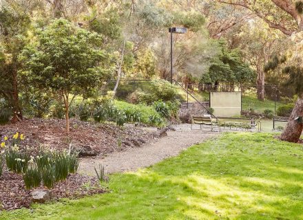 backyard outdoor area