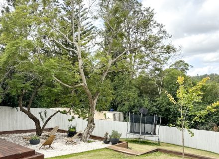 backyard