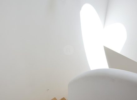 Marfa, Bondi Beach-22