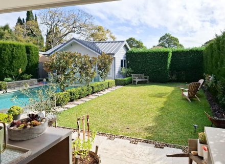 backyard garden established
