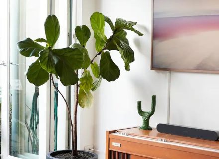 Matilda, Carlton North 15