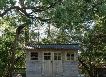 Mayde House, Carool-18