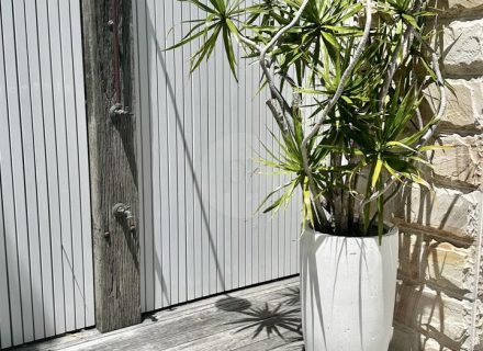 Maywood House, North Curl Curl-04