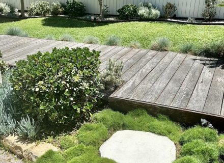 Maywood House, North Curl Curl-05