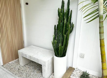 Maywood House, North Curl Curl-06