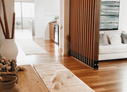 Maywood House, North Curl Curl19