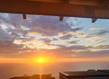 Merella, Collaroy Plateau-26