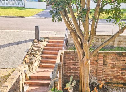 Merella, Collaroy Plateau--53