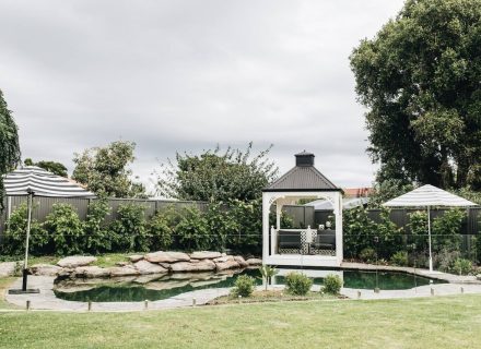 outdoor area backyard garden established