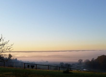 Misty-June-Morning-757x1024-1.jpg