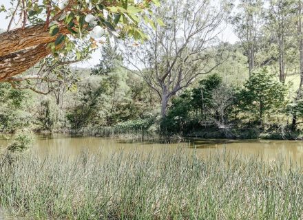 Modello, Upper Kangaroo River 035