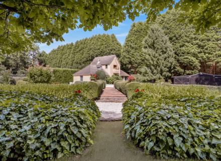 Mon Amour, Berrima 1