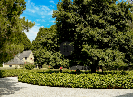 Mon Amour, Berrima 10