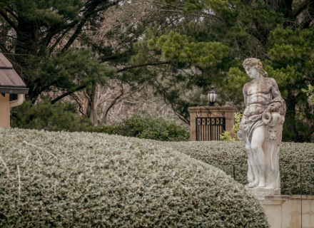 Mon Amour, Berrima 12