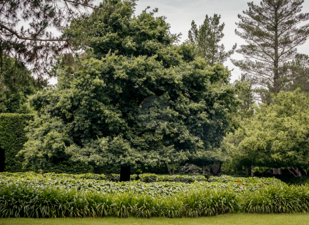 Mon Amour, Berrima 14