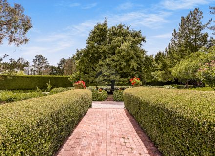 Mon Amour, Berrima 6