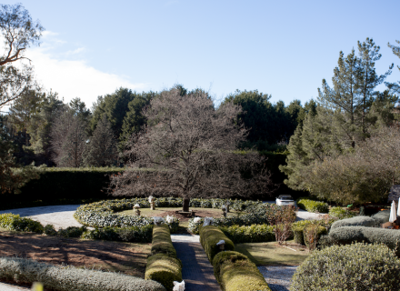 garden established