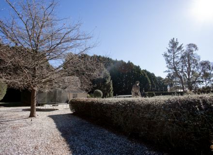 Mon Amour, Berrima_63